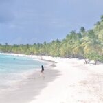 Saona Island Tour in Punta Cana - Final Thoughts on Value and Experience