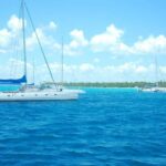Saona Island: Tour with Lunch and Drinks - What to Expect and Practical Tips