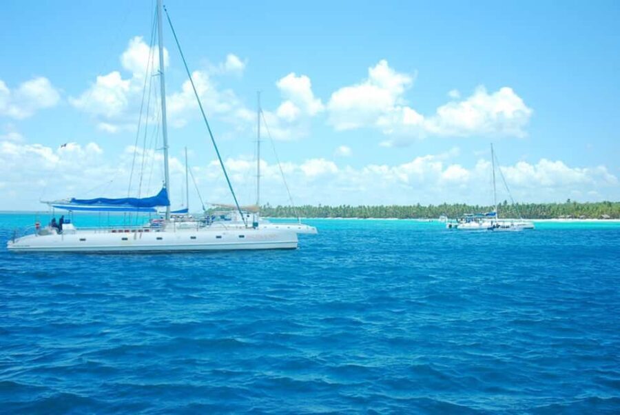 Saona Island: Tour with Lunch and Drinks - What to Expect and Practical Tips
