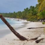 Saona Island Unforgettable Experience. !!! .. - Who Should Consider This Tour?