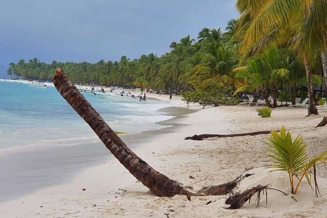 Saona Island Unforgettable Experience. !!! .. - Who Should Consider This Tour?