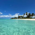 Saona Island VIP: 4 Beaches , Mano Juan & Canto de la Playa - Practical Details & What to Know