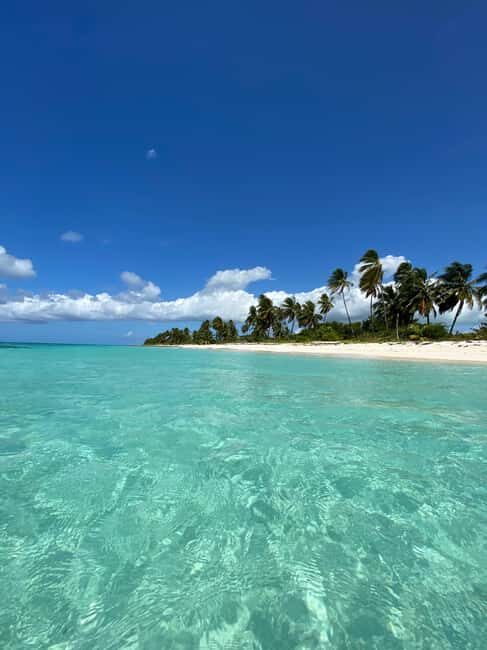 Saona Island VIP: 4 Beaches , Mano Juan & Canto de la Playa - Practical Details & What to Know