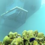 Saona Island With Semi Underwater And Snorkel From Bavaro Punta Cana - Value and Practical Tips