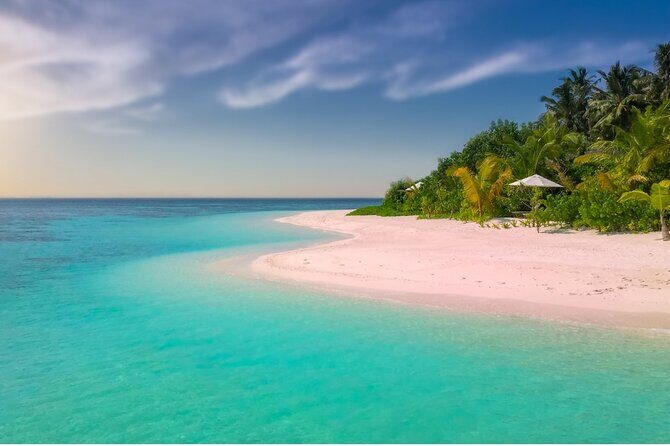 Saona Paradise Island : Catamaran, Natural Pool and Typical Lunch - Who Will Love This Tour?