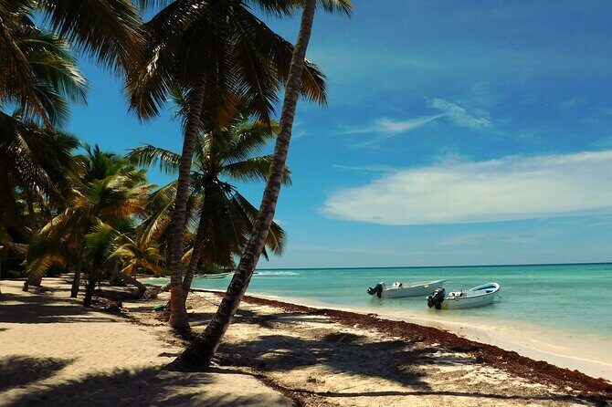 Saona Party Boat and Natural Pool from Cap Cana with Lobster - Weighing the Value