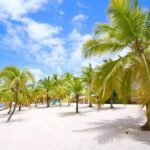 Saona VIP Mano Juan and Three Beaches Tour - FAQ