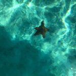 Saona Vip with three Beaches and Lunch - Final Thoughts on the Saona Vip Tour