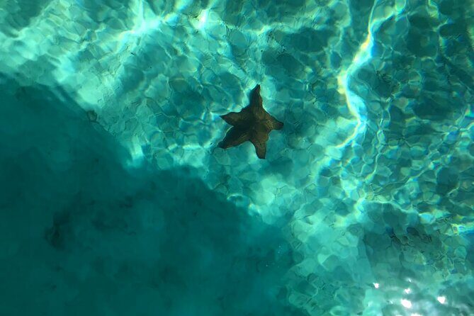 Saona Vip with three Beaches and Lunch - Final Thoughts on the Saona Vip Tour