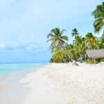 Saône Catamaran Island - speedboat, open bar and lunch - Final Thoughts