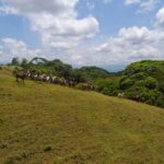 Sarapiqui Forest Horseback Riding Experience in Costa Rica - Authenticity and Accessibility for All