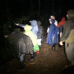 Sarapiqui Frog Experience: Night Experience in the Jungle. - An In-Depth Look at the Sarapiquí Frog Night Tour