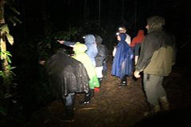 Sarapiqui Frog Experience: Night Experience in the Jungle. - An In-Depth Look at the Sarapiquí Frog Night Tour