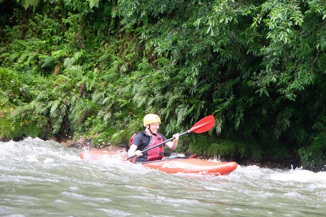 Sarapiquí River Jungle Kayak Tour - Who Will Love This Tour?