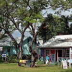 Scenic Barbados Coast To Coast Half-Day Tour - What Travelers Say: Authentic Experiences