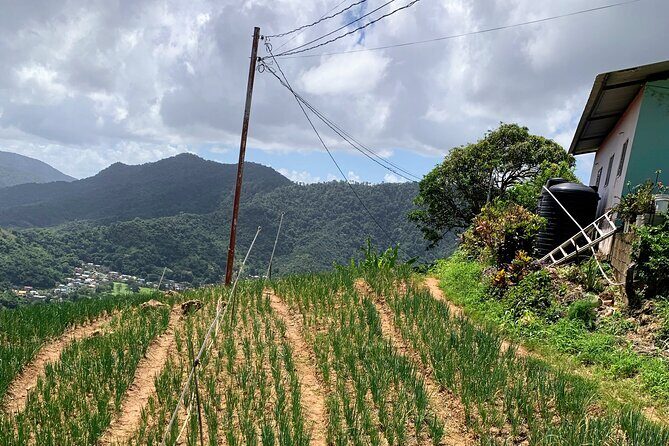 Scenic City Tour - The Sum Up