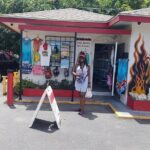 Scenic Island Private Tour - Who is This Tour Best Suited For?