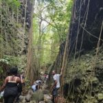 Scenic Rainforest Hike & Snacks - In-Depth Look at the Itinerary