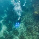 Scuba Dive in the West End of Roatan with Private Transfer - Exploring Roatan’s West End Scuba Experience in Detail