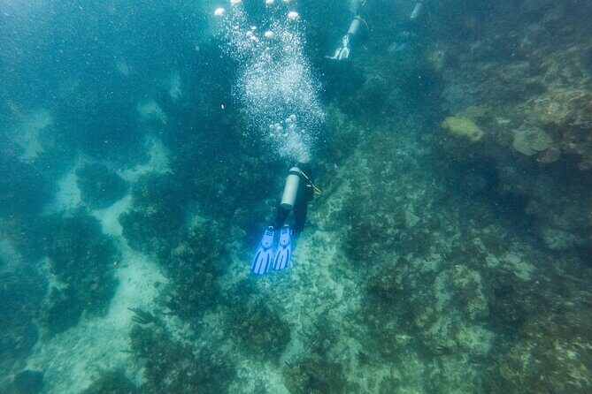 Scuba Dive in the West End of Roatan with Private Transfer - Exploring Roatan’s West End Scuba Experience in Detail