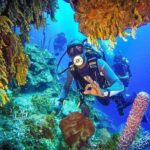 Scuba Diving at Catalina Island - 2 tank | 2 spots - The Value of This Experience