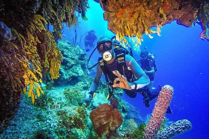 Scuba Diving at Catalina Island - 2 tank | 2 spots - The Value of This Experience
