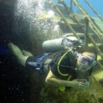 Scuba Diving at Catalina Island - All Inclusive - Full Day Tour - Why This Tour Offers Great Value