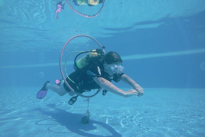 Scuba Diving Beginner Course - A Closer Look at the Scuba Diving Beginner Course Experience