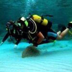 Scuba diving in Rosario Islands - Why This Tour Offers Great Value