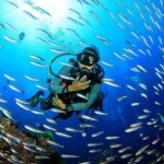 Scuba Diving on Catalina Island | 2 tanks, 2 spots - What the Reviews Say