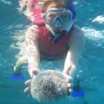 Scuba Doo Underwater Scooter in Punta Cana (Half Day) - Key Points