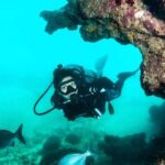 Scuba Tour for Certified Divers in San Juan - The Itinerary Explored