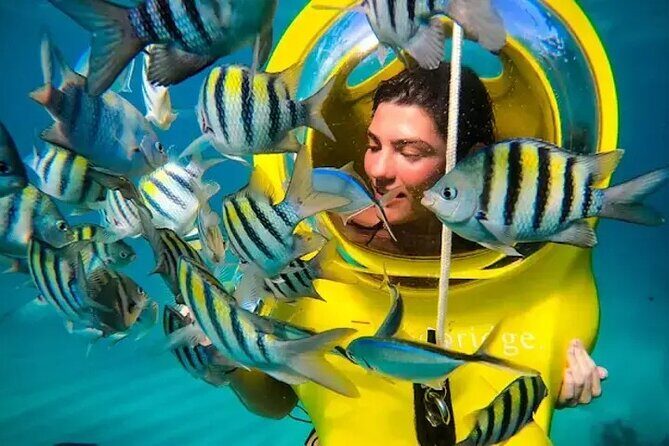 ScubaDoo From Punta Cana - The Realities: Pros and Cons