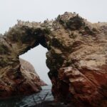 Sea Lions !!! Experience in the Ocean - The Stunning Palomino Islands