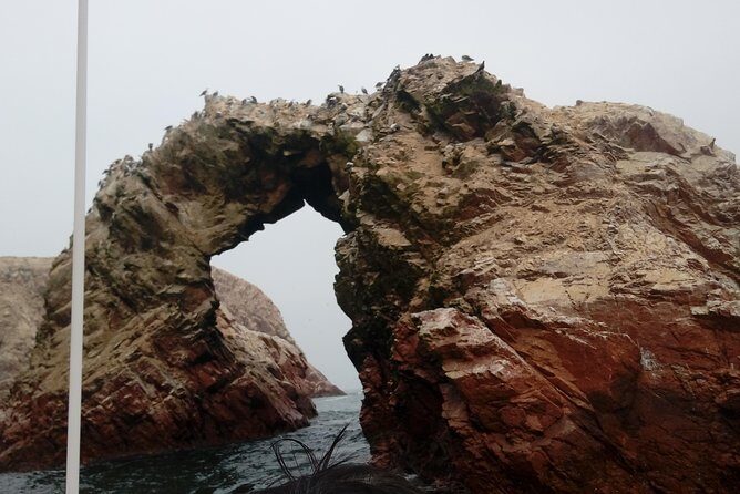 Sea Lions !!! Experience in the Ocean - The Stunning Palomino Islands