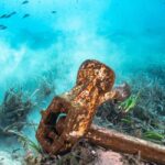 Sea-nic, Sip N Snorkel on a Semi-Submersive Seacraft - The Authentic Value of This Tour