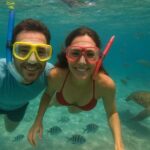 Sea Turtle Snorkel Tour - An In-Depth Look at the Sea Turtle Snorkel Tour