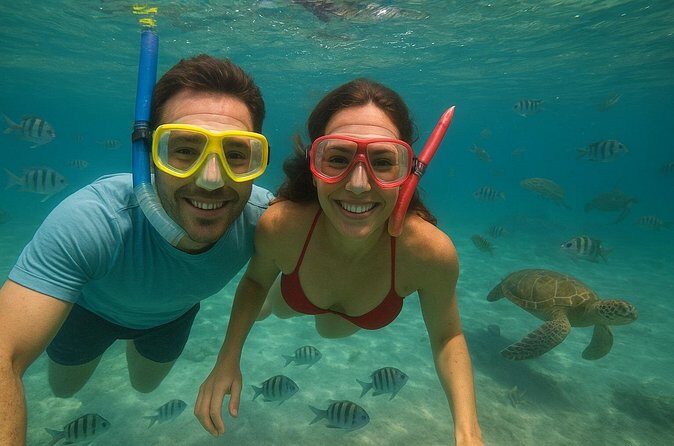 Sea Turtle Snorkel Tour - An In-Depth Look at the Sea Turtle Snorkel Tour