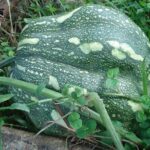 Seasoned Experience at Esperance Estate - Who Will Love This Tour?