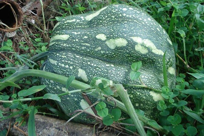 Seasoned Experience at Esperance Estate - Who Will Love This Tour?