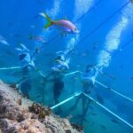 SeaTrek Tour St. Maarten - Frequently Asked Questions