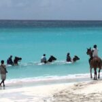 Secret Falls, Blue Hole, and Horseback Riding from Ocho Rios - In-Depth Review of the Tour Experience