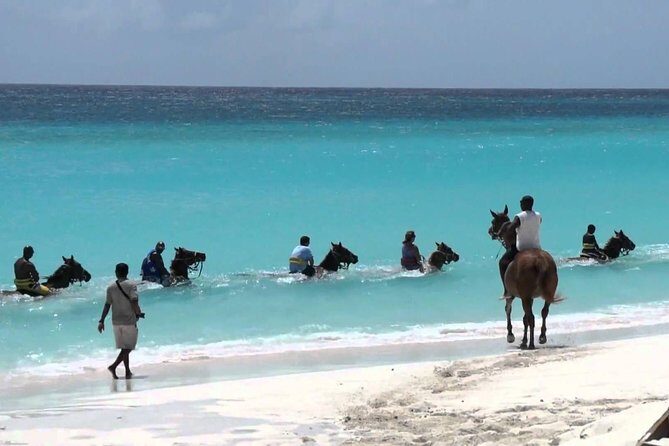 Secret Falls, Blue Hole, and Horseback Riding from Ocho Rios - In-Depth Review of the Tour Experience