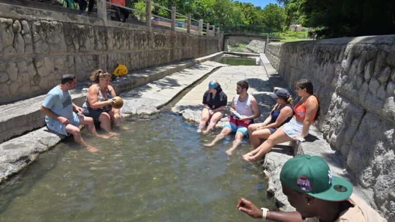 See It All {The Local Behind The Scenes Tour Of Nevis} - The Sum Up