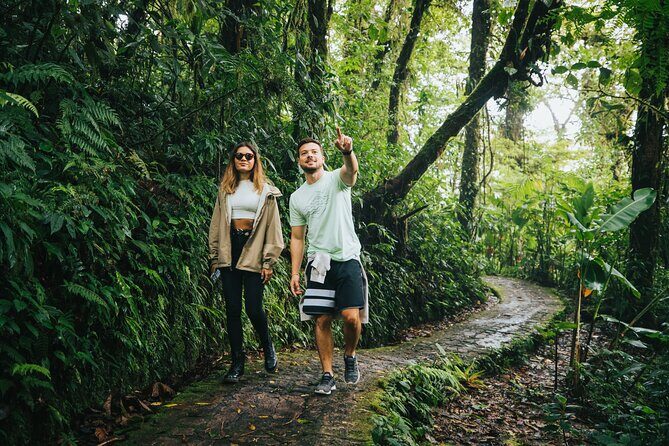 Selvatura Hanging Bridges Admission Ticket - Who Will Love This Tour?