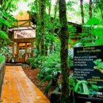 Selvatura Park: Herpetarium Tour in Monteverde - A Closer Look at the Selvatura Herpetarium Tour