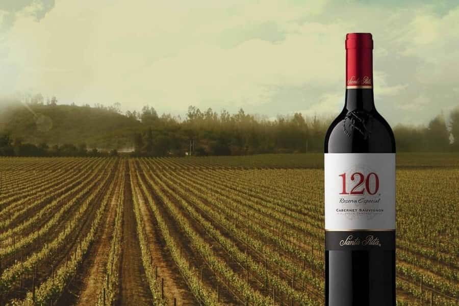 Sensory Journey: Visit to the Santa Rita vineyards - What Makes Santa Rita Special