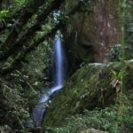 Serra dos Orgaos National Park  EcoTour - FAQ