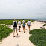 Seymour North Island & Las Bachas Full-Day Tour - Authentic Experiences and Honest Feedback