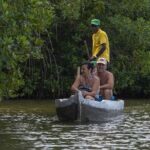 Shared Cartagena Mud Volcano + Mangrove Tour including lunch - Who Will Love This Tour?
